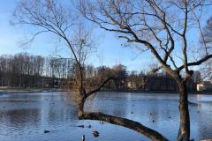 IMG_20191030_112107_308